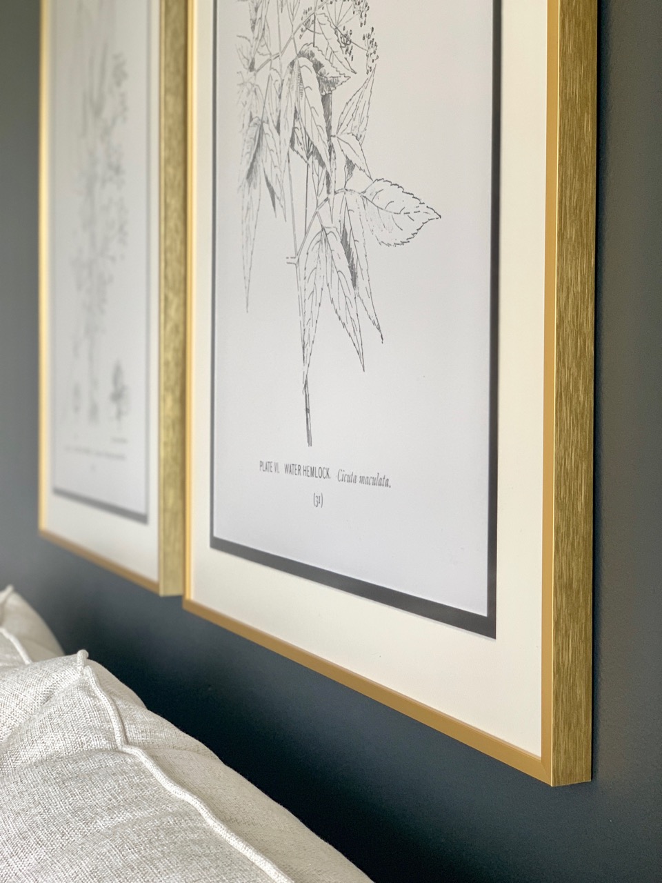 Choosing The Perfect Matboard Color For Your Custom Framing Project