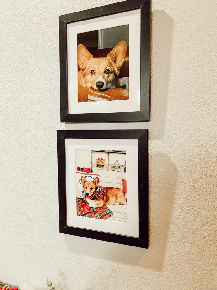 At Home Photoshoot: Framed photos of the family dog. 