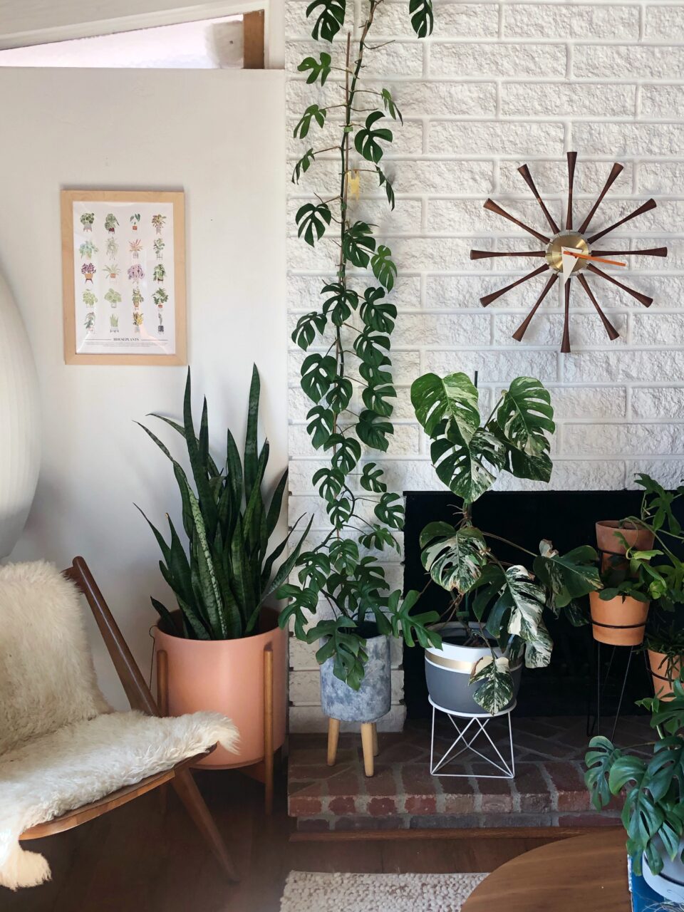 Plants and greenery with neutral color picture frame