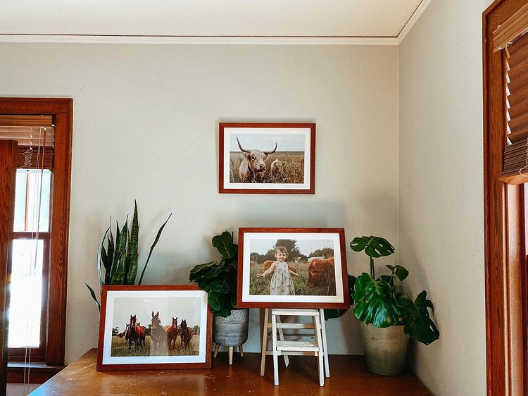 wildlife framed in wood picture frames