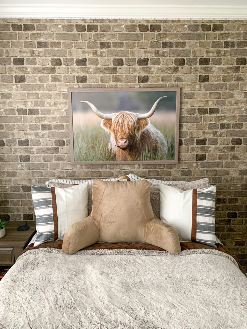 highlander cow framed over a bed