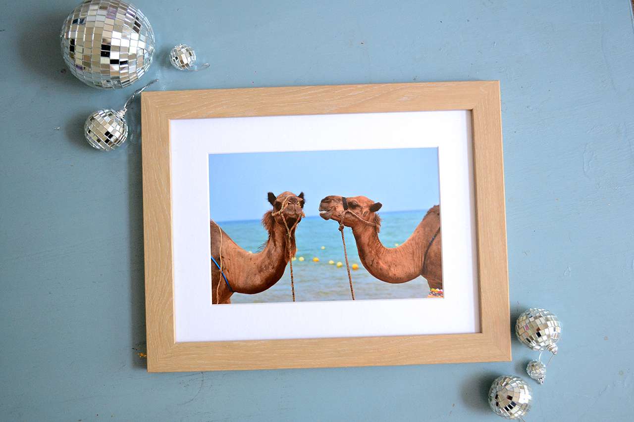 camels framed in a light wood picture frame