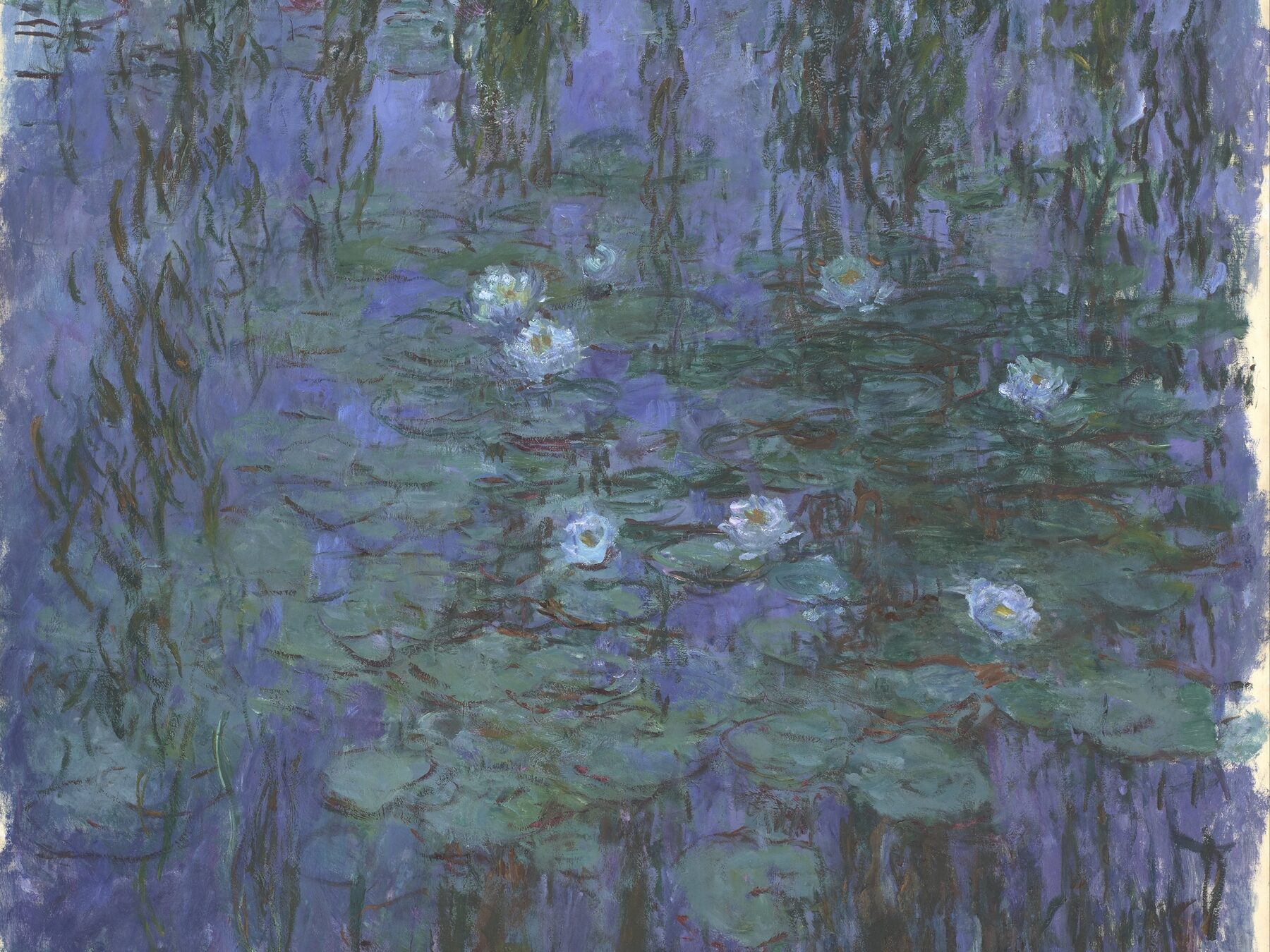 Blue Water Lilies