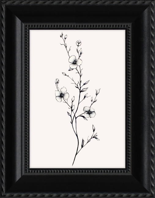 ornate black picture frame